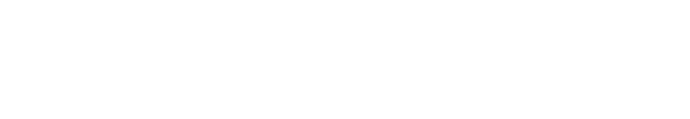 総合的なビジネス領域において価値創造のプロフェッショナルであること